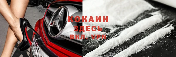 дмт Нея