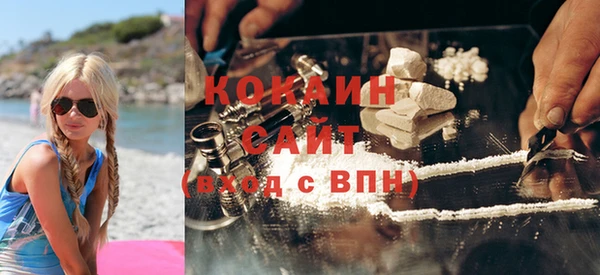 дмт Нея