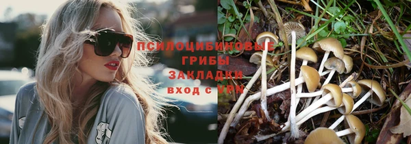 дмт Нея