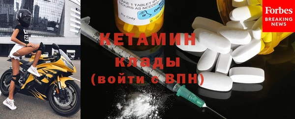 шишки Надым