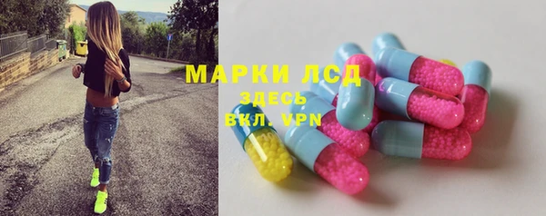 шишки Надым