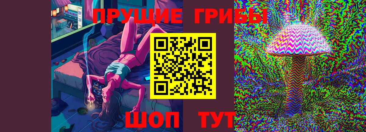 Псилоцибиновые грибы Cubensis Выборг