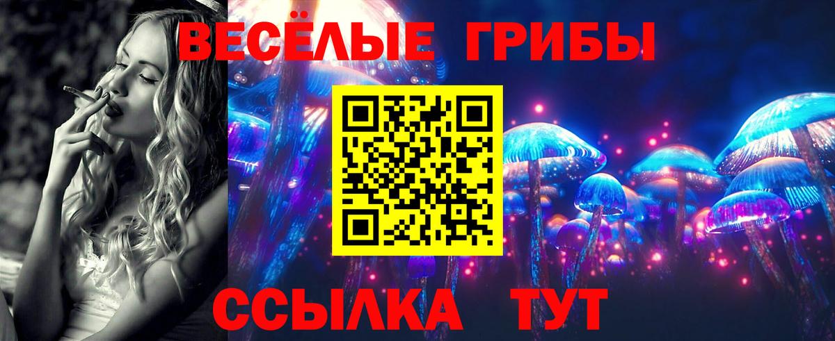 Псилоцибиновые грибы Magic Shrooms  как найти закладки  Выборг 